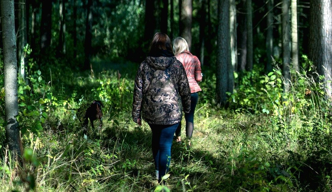 Latvian forestry company still restoring systems weeks after ransomware attack